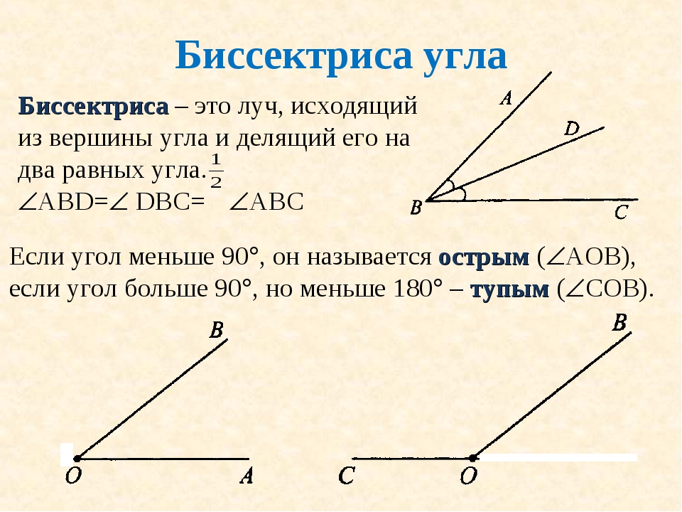 Сравнение равных углов. Биссектриса угла углы 7 класс. Что такое биссектриса угла 5 класс математика. Что такое биссектриса в геометрии 7 класс. Антибиссектриса.