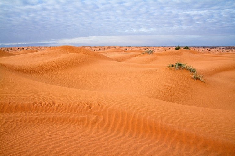 Песчаные формирования