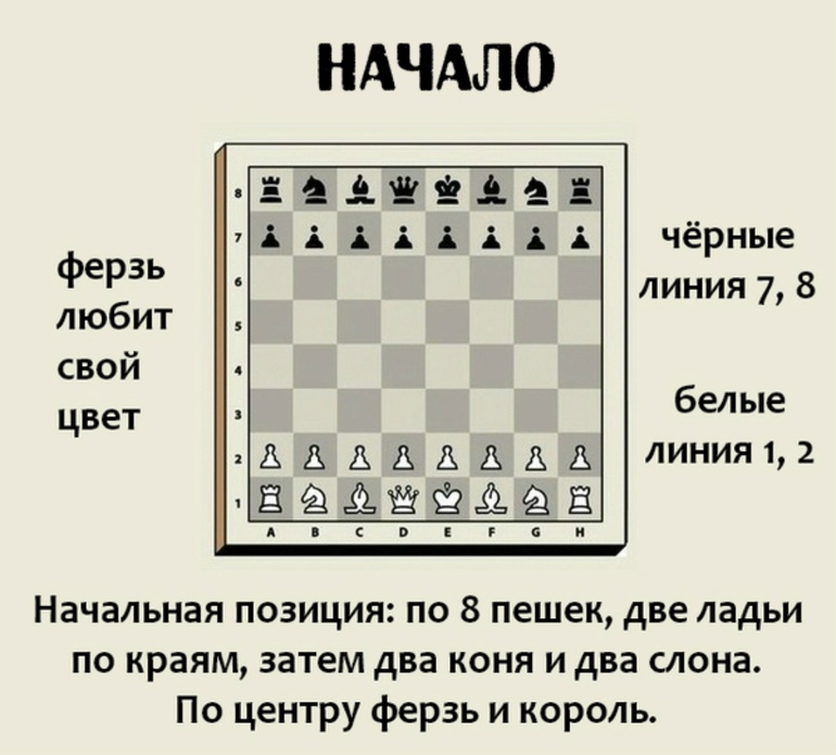 Шахматы википедия 