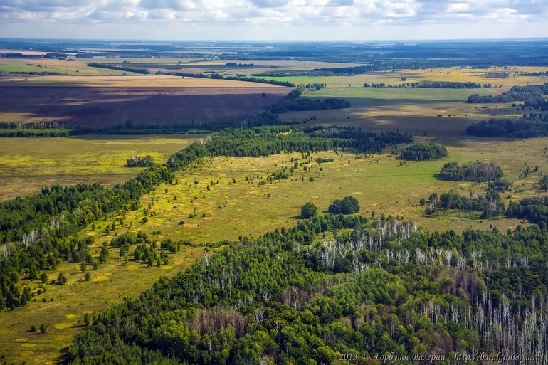 Лесостепь — переходная зона между лесными участками и степью