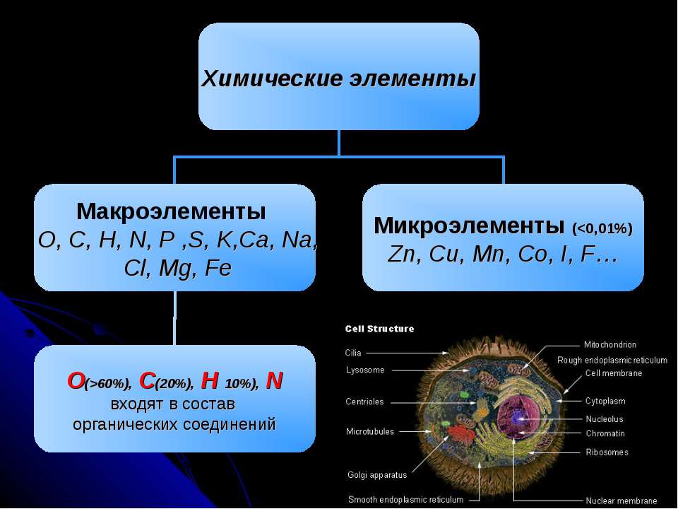 Химический состав клетки макроэлементы. Химический состав клетки схема химические элементы вещества. Химические элементы макроэлементов клетка.
