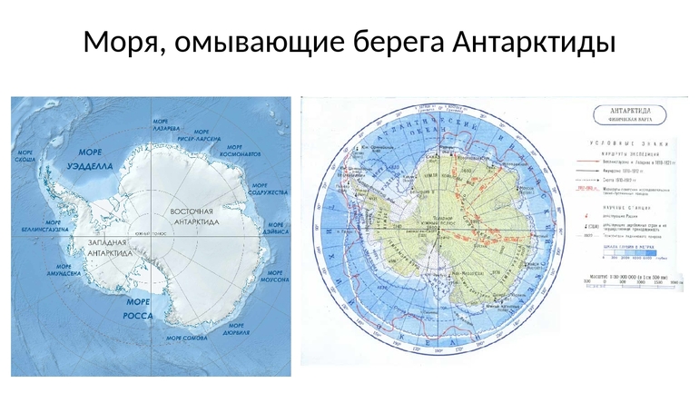 какое море не находится у берегов антарктиды