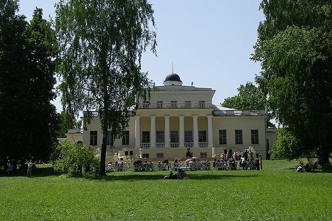 Рис. 8. Дом Федора Тютчева в Овстуге