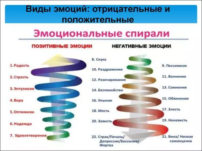 Рис. 1. Виды эмоций