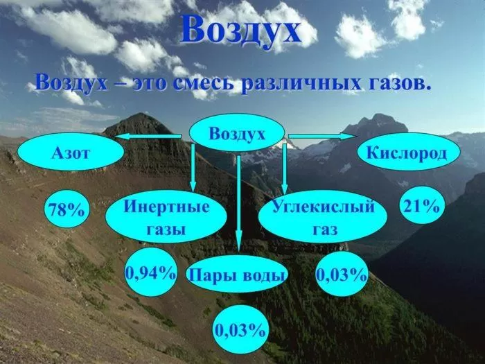 Рис. 1. Состав воздуха