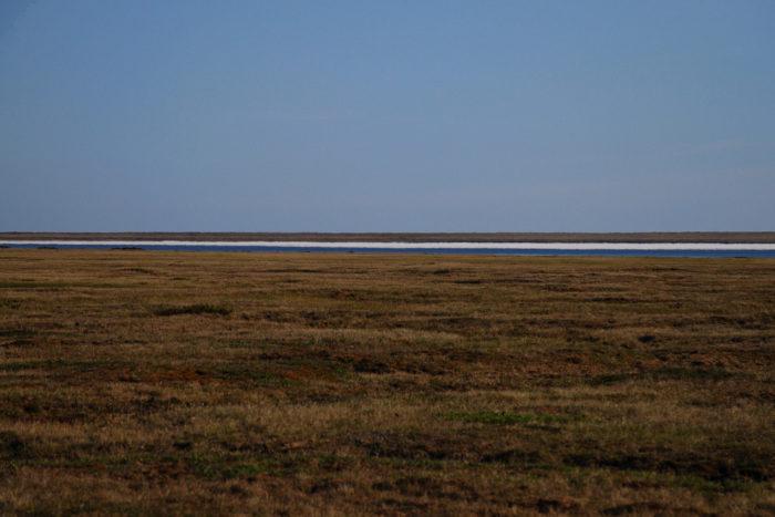 Рис. 3. Тундра на Аляске в июле