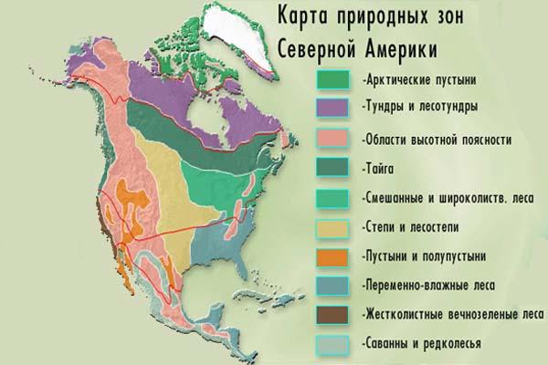 Рис. 1. Природные зоны Северной Америки