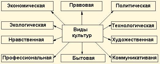 Составьте схему используя следующие понятия культура элементы культуры функции культуры формы