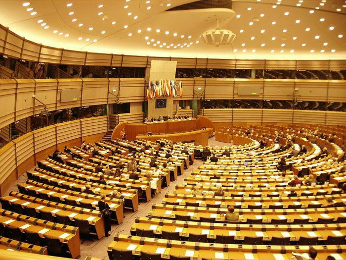 Рис. 5. В Европейском парламенте