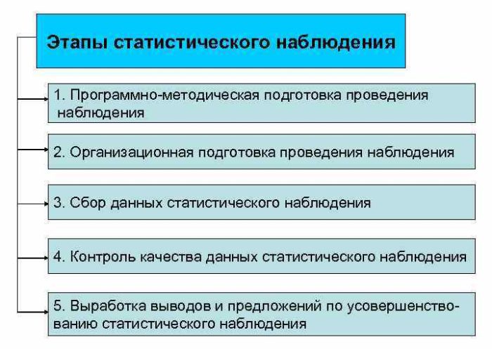 Рис. 1. Этапы статистического наблюдения