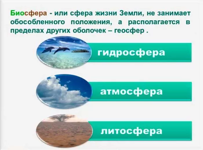Рис. 1. Биосфера