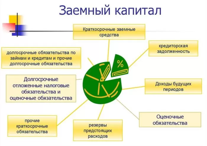 Рис. 1. Заемный капитал