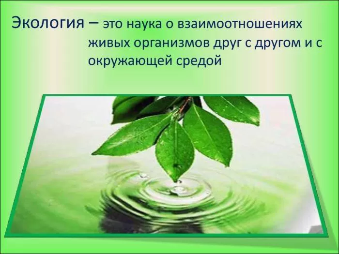 Рис. 1. Определение термина "экология"