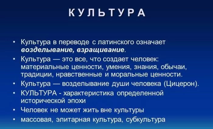Рис. 1. Определения понятия "культура"