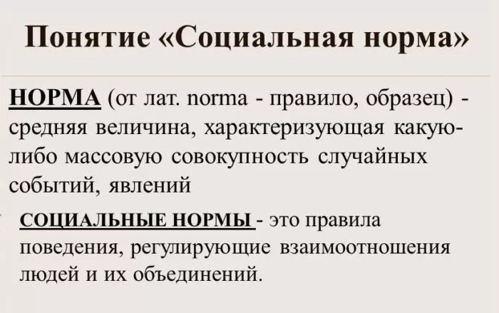 Рис. 1. Понятие "Социальная норма"