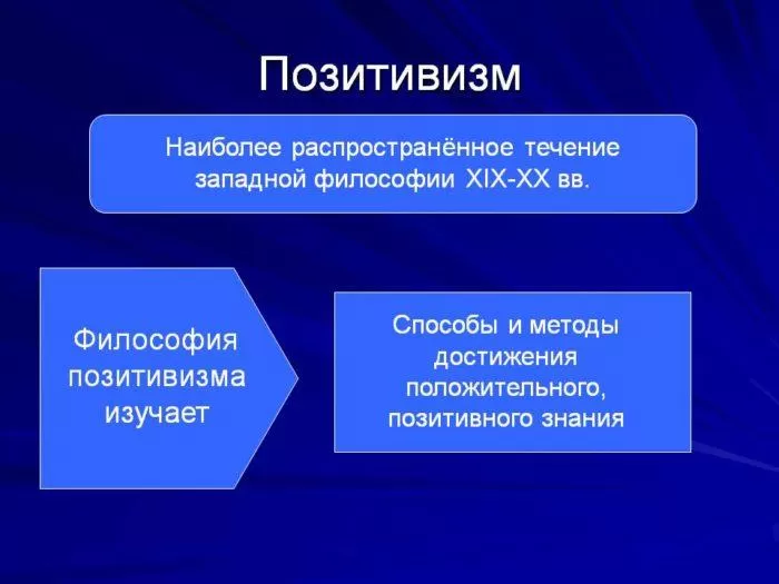 Рис. 1. Сущность позитивизма