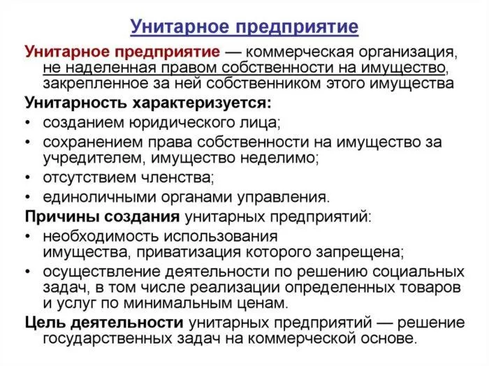 Рис. 1. Унитарное предприятие