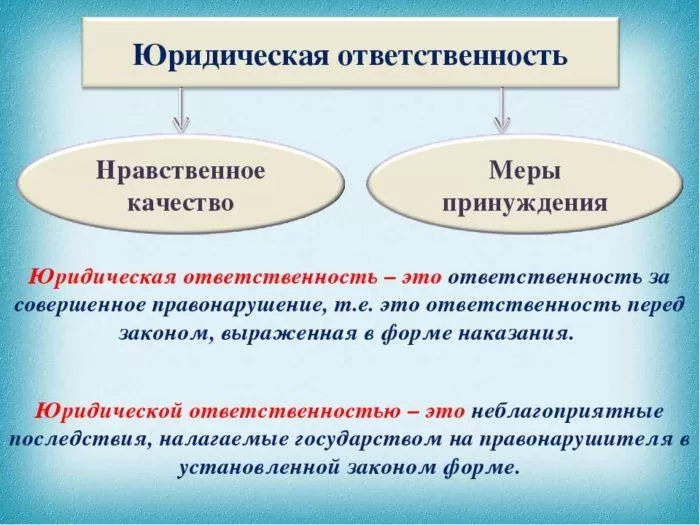 Рис. 1. Юридическая ответственность