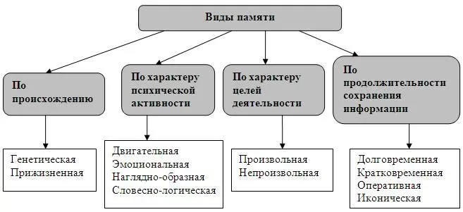 Рис. 2. Виды памяти