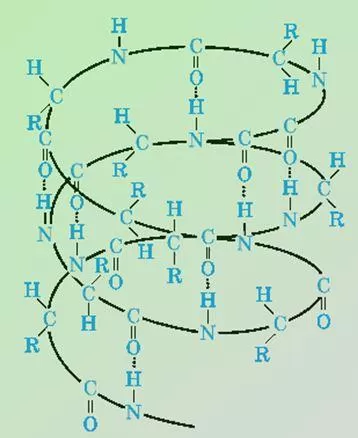 Рис. 2. Альфа-спираль