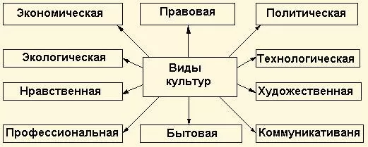 Рис. 2. Виды культур