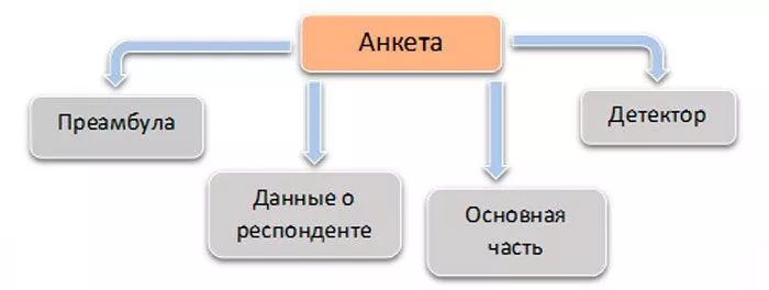 Рис. 2. Структура анкеты