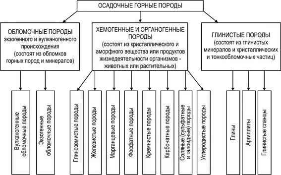 Рис. 2. Классификации осадочных пород
