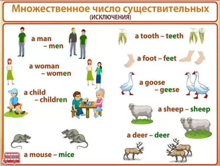 Рис. 2. Множественное число существительных. Исключения