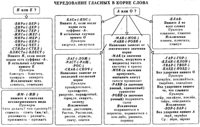 Рис. 2. Правила чередования гласных в разных корнях
