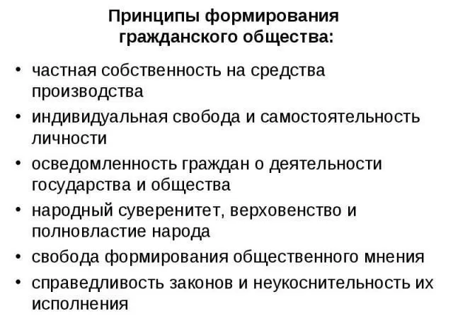 Рис. 2. Принципы гражданского общества