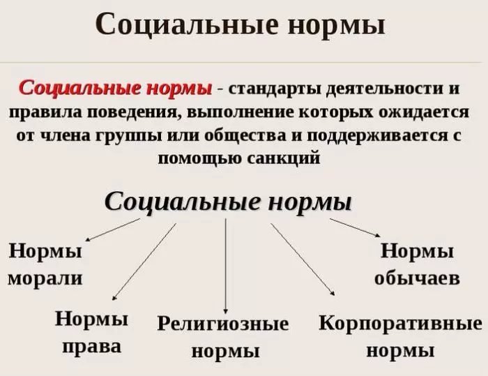 Рис. 2. Социальные нормы