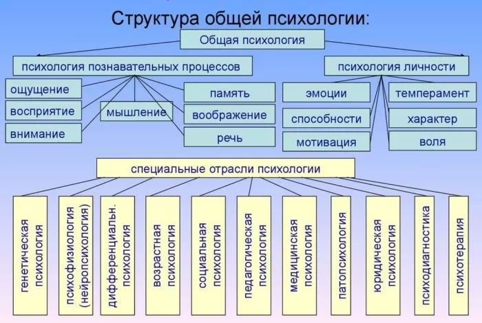 Рис. 3. Структура общей психологии