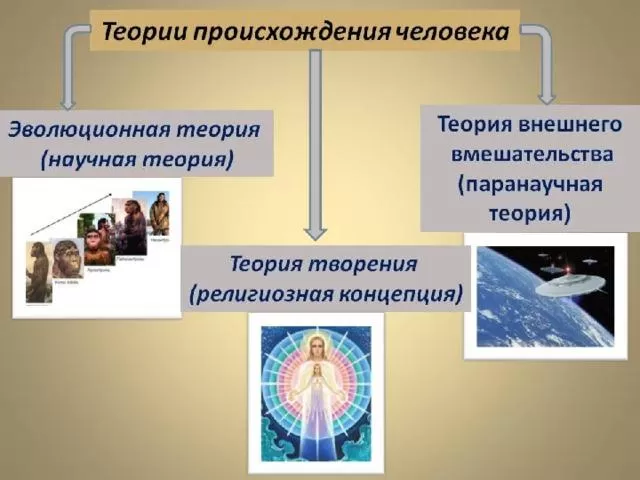 Рис. 2. Теории происхождения человека