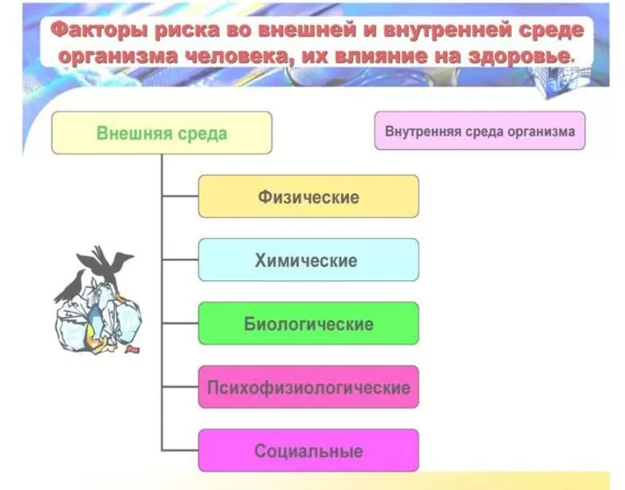Рис. 3. Факторы риска состояния здоровья