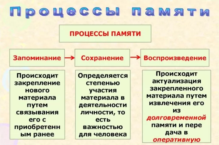 Рис. 3. Процессы памяти