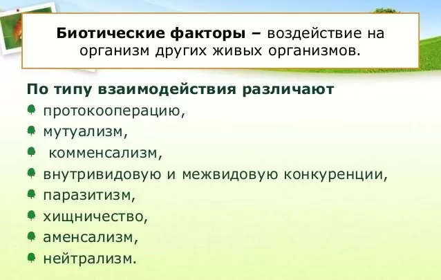 Рис. 3. Биотические факторы