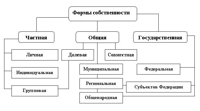 Рис. 3. Виды и формы собственности