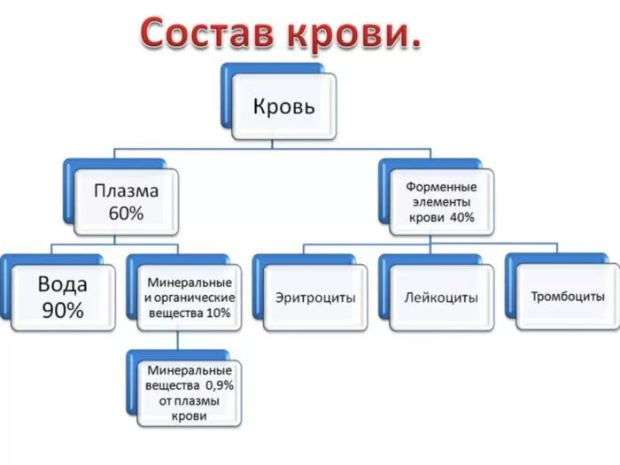 Рис. 3. Состав крови