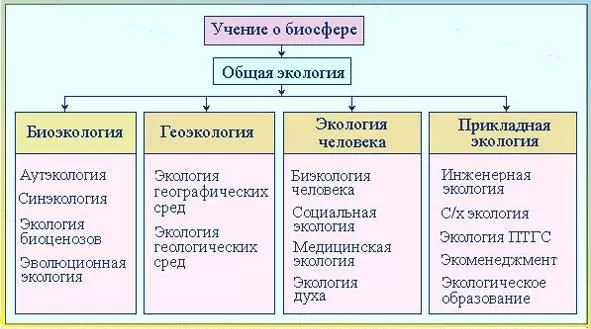 Рис. 3. Структура общей экологии