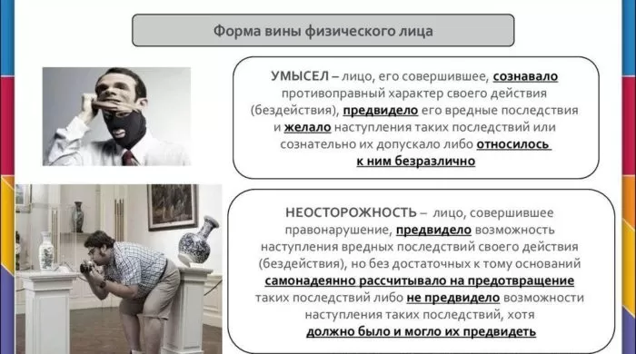 Рис. 3. Форма вины физического лица