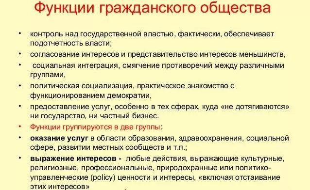 Рис. 3. Функции гражданского общества