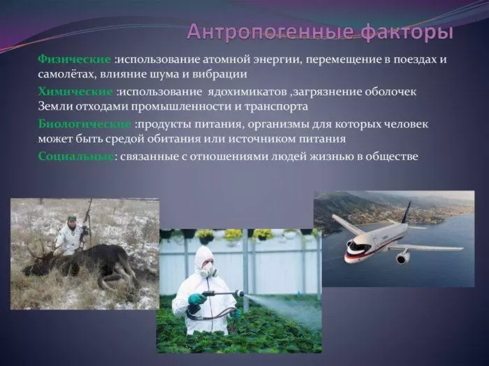 Рис. 4. Антропогенные факторы
