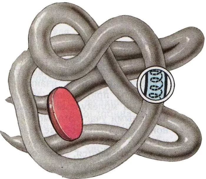 Рис. 4. Глобула
