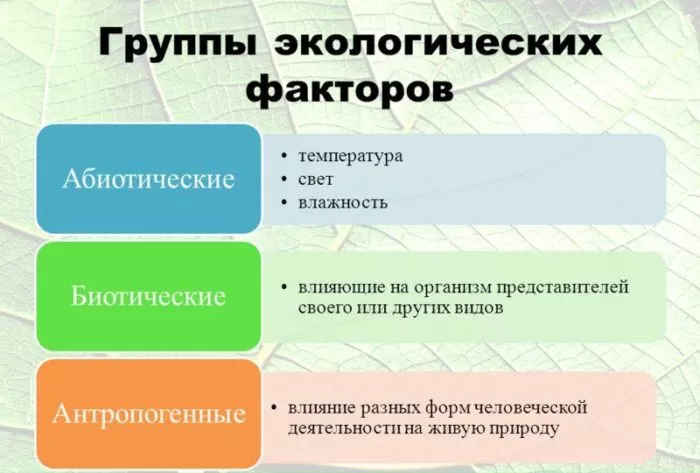 Рис. 4. Группы экологических факторов