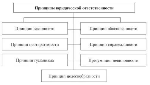 Рис. 3. Принципы юридической ответственности