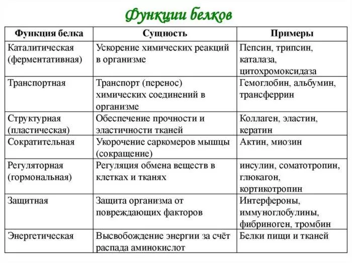 Рис. 6. Функции белков