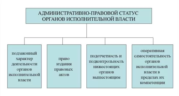 Рис. 4. Административно-правовой статус органов исполнительной власти