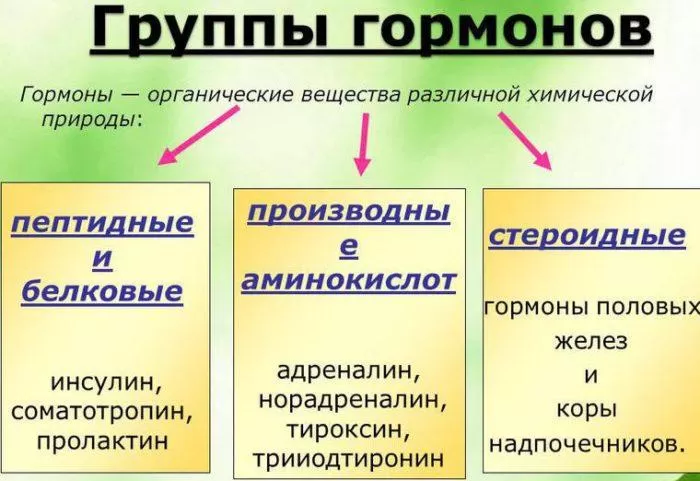 Рис. 1. Группы гормонов