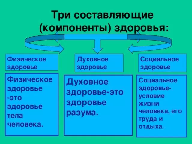 Рис. 2. Составляющие здоровья