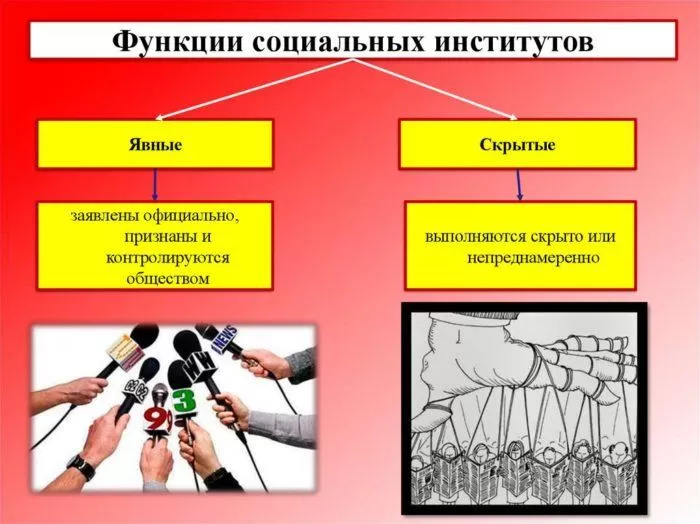 Рис. 3. Функции социальных институтов